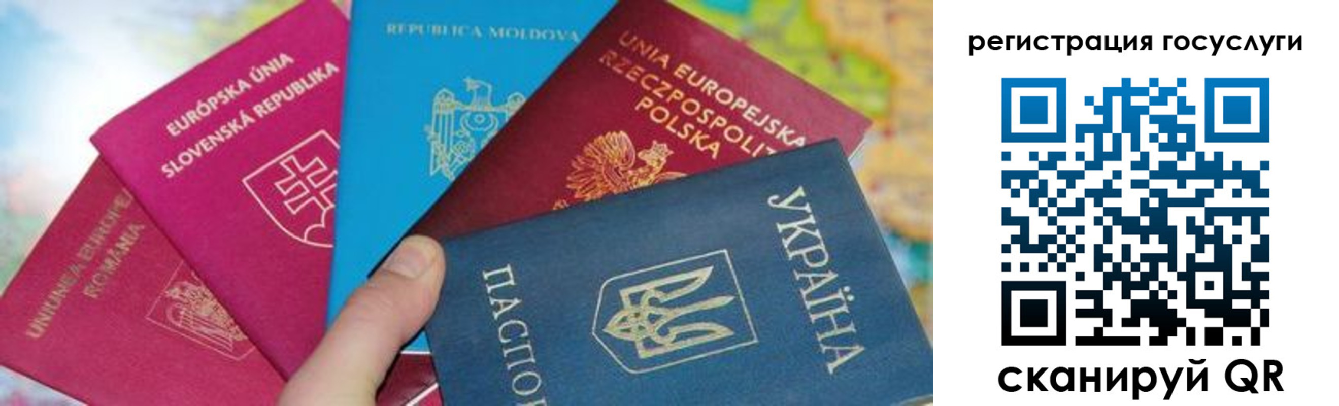 прописка гарантия в Нерчинске